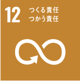 SDGs 12