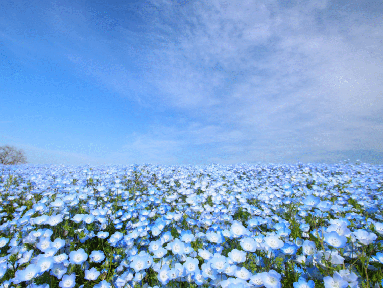 家族で楽しめる週末スポットと暮らしの魅力